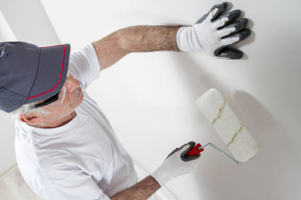 Best Residential Mold Inspection & Testing  in Hurricane, UT