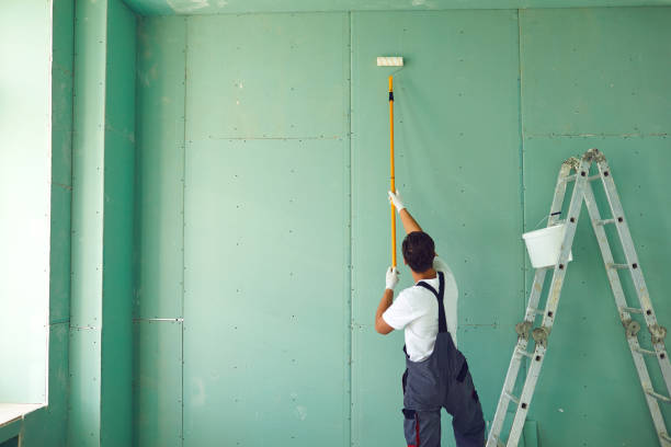Best Attic Mold Removal  in Hurricane, UT