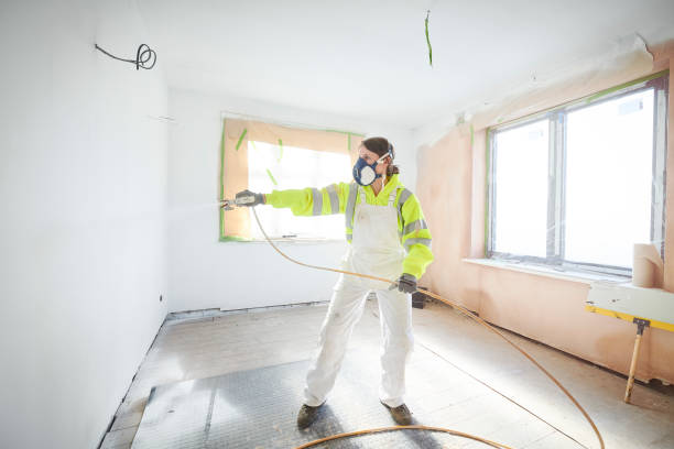 Best Mold Removal for HVAC Installations  in Hurricane, UT