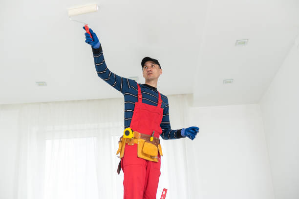 Best Forensic Mold Investigation  in Hurricane, UT
